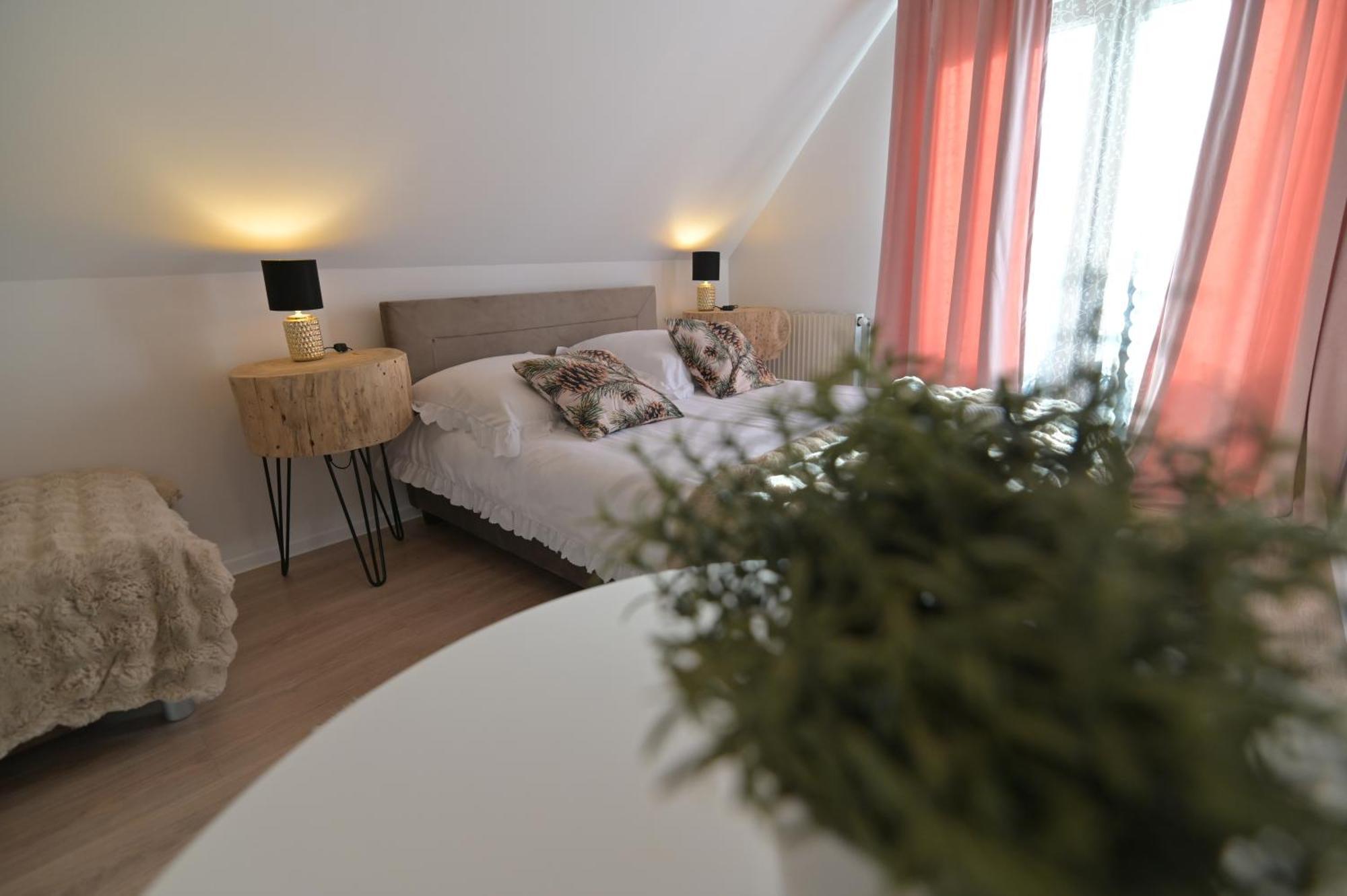 Pino House — Zdjęcia 3